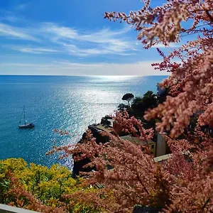 Appartement Maison Exotique - / Cinque Terre / Travel, Riomaggiore